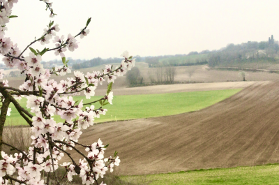 Il silenzio di Giuseppe