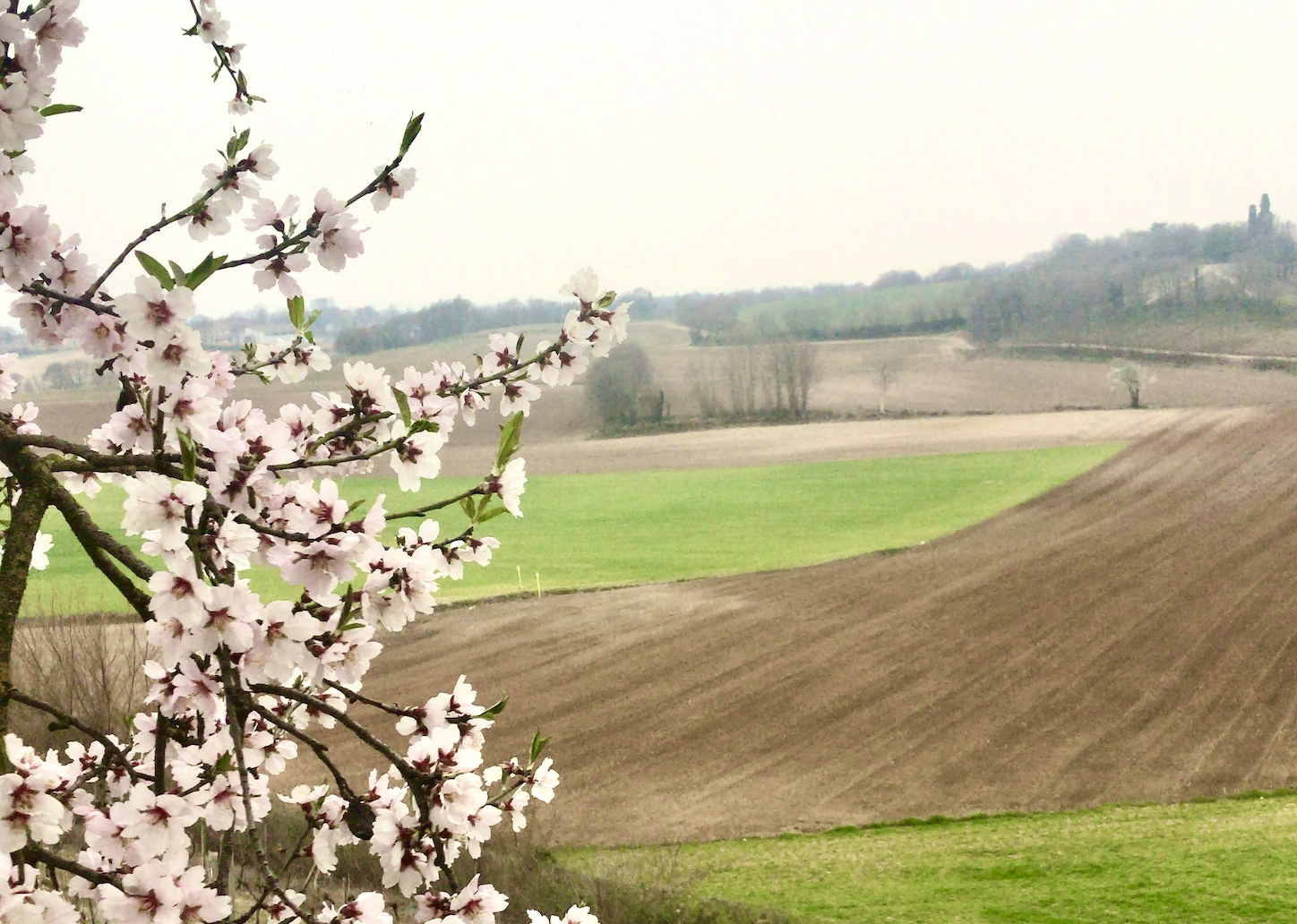 Il silenzio di Giuseppe