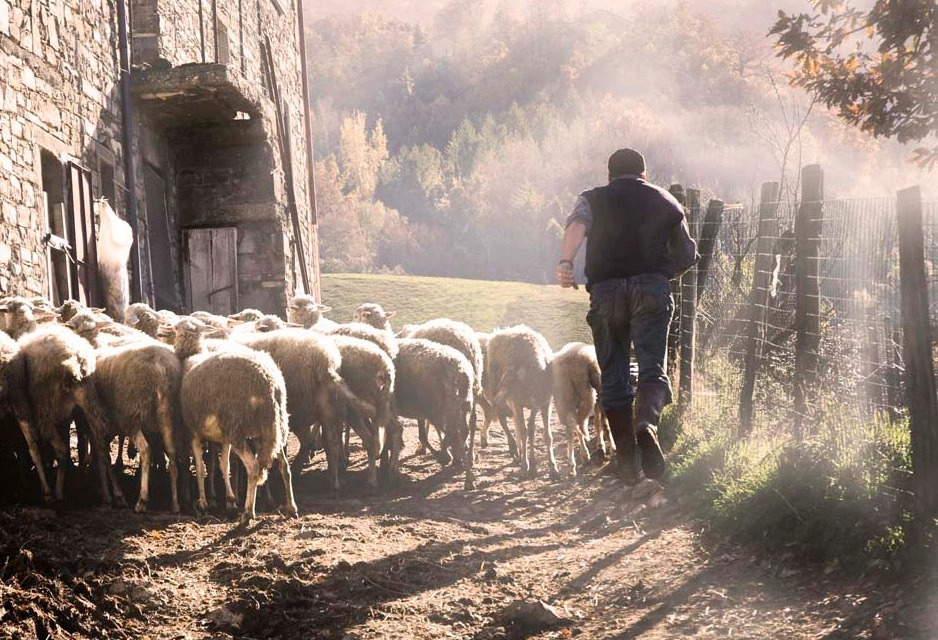 Spingere fuori…un  gesto vitale!